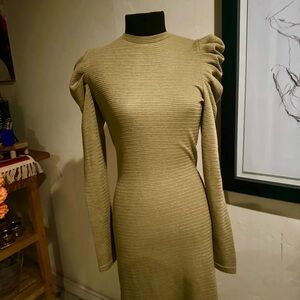 BRAND NEW Walter Baker Long Sleeve Moss  Dress